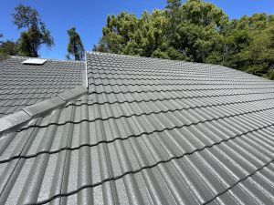 central coast roof painting services